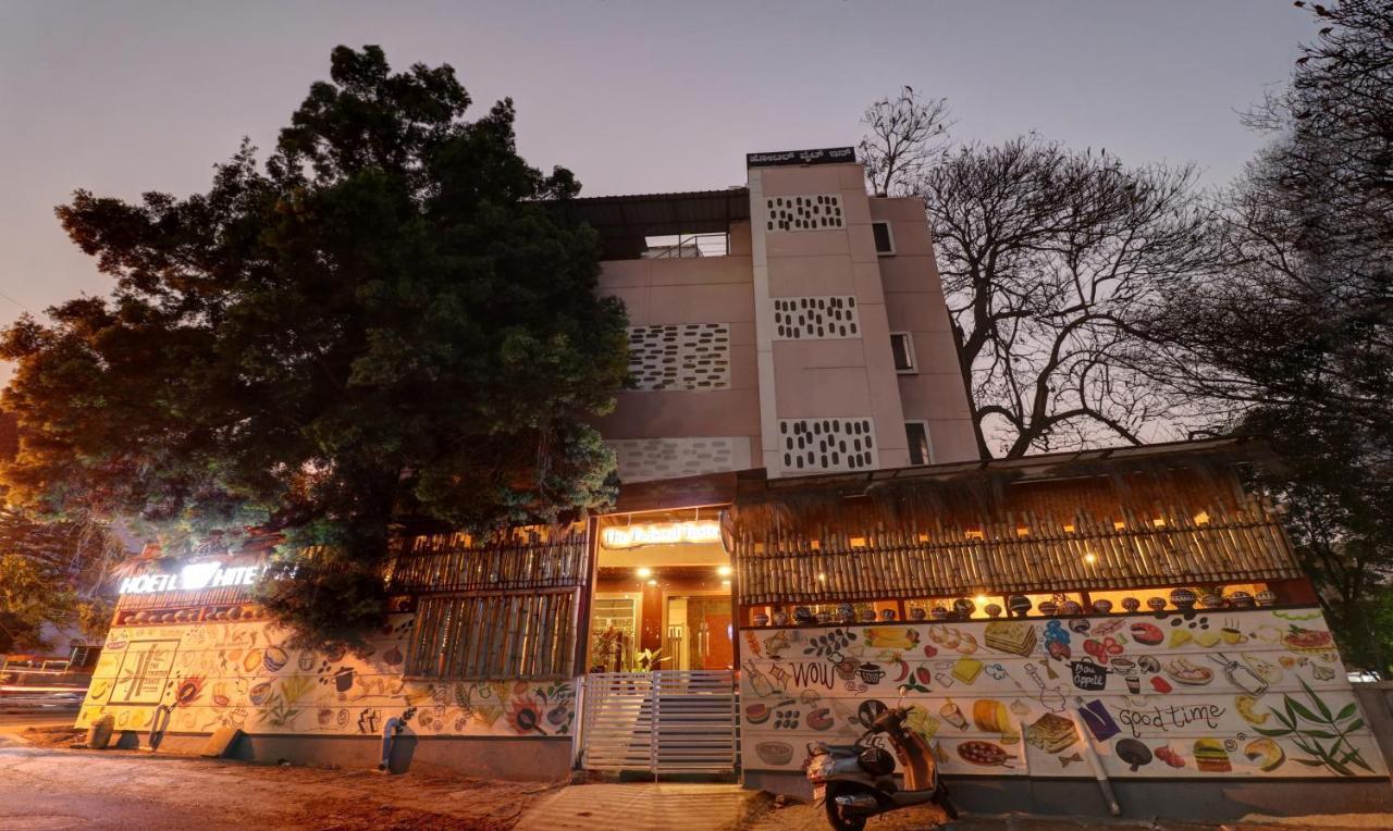 Treebo White Inn Koramangala Bangalore Exteriör bild
